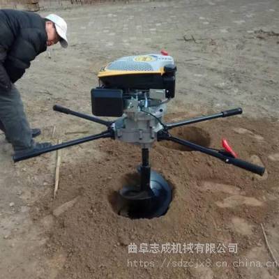 四冲程双人使用打眼机 大功率钻土打眼机 园林用挖坑机厂家