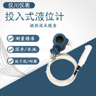 上海仪表 LED-800A投入防腐式液位计