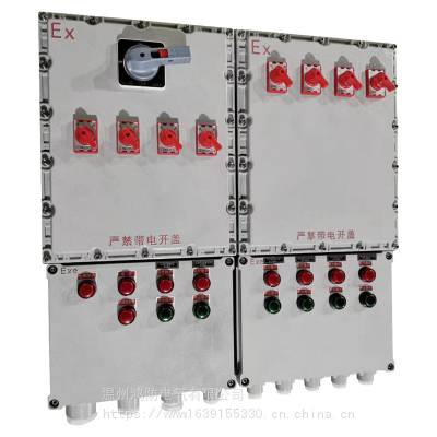 温州鸿防电气BXM51-4K 40A220/380V 防爆照明动力配电箱