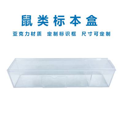全透明鼠类标本盒标本展示亚克力标本盒
