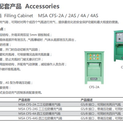 梅思安 3585005G CFS-2A 两工位防爆充气箱