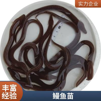 糡 ڰʵ ˮƷʺ ͻ