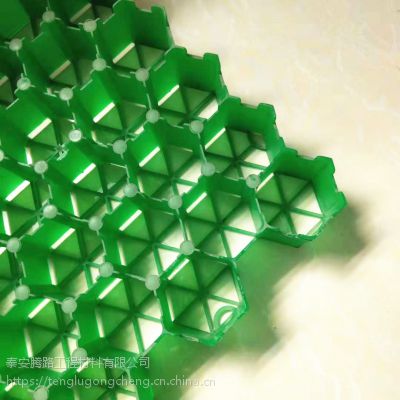 2020年园林绿化用HDPE植草格 塑胶植草砖