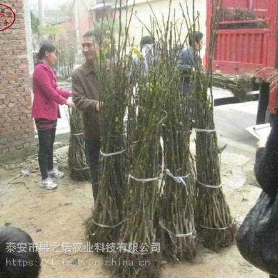 硢ɺ1ź硢ɺ1źгǰ