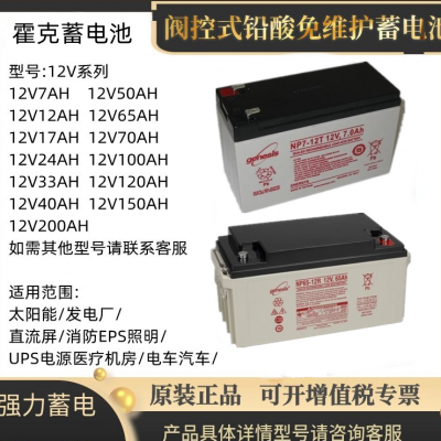 艾诺斯蓄电池NP70-12艾诺斯12V70AH阀控式免维护铅酸蓄电池