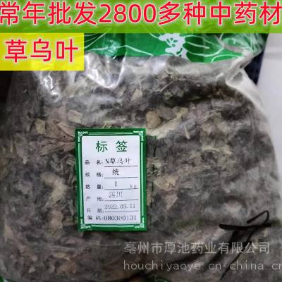 中药材 草乌叶 多少钱一斤 厚池药业 草乌