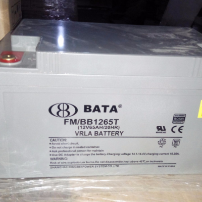 BATA豴FM/BB1265T 12V65AH ֱUPS󱸵Դ