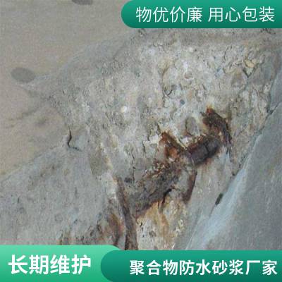 聚合物水泥防水砂浆 混凝土修补砂浆 干粉防水砂浆 厂家