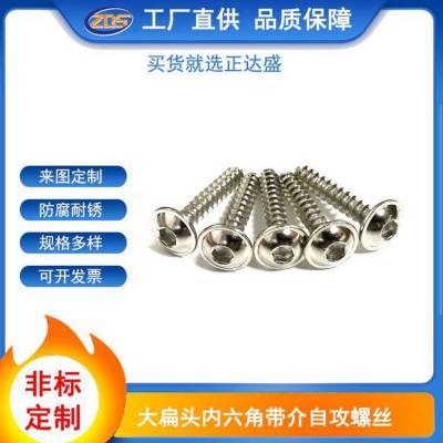 非标碳钢盘头内六角镀镍自攻螺丝带介尖尾螺钉