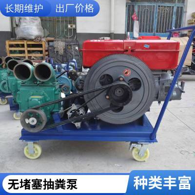 无堵塞养殖场螺旋切割蛟龙泵化粪池抽粪机型泥浆泵