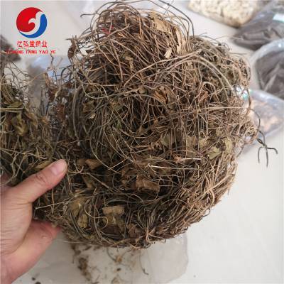 三十六荡图片 老君须,鸡骨香,双飞蝴蝶,土细辛批发