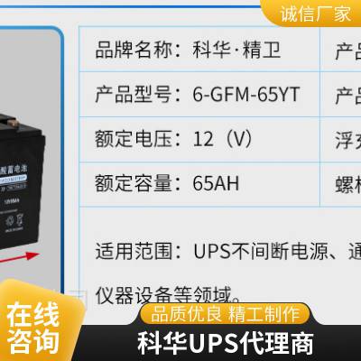 科华6-GM-38-YT精卫电池 12V38AH铅酸免维护UPS电源 EPS电瓶