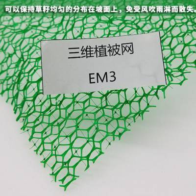 厂家直销多规格EM4三维土工网垫植草网-护坡网六盘水