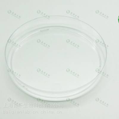 上海晶安多聚-D-赖氨酸或胶原蛋白I包被多孔细胞培养板/培养皿/培养瓶