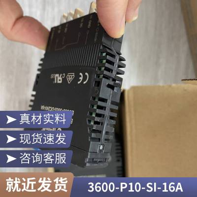 断路器3600-P10-SI-1A欧洲进口烁晋供应ETA ESX10-TB-101-DC24V-6A