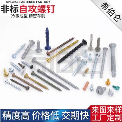 厂家冷镦非标304不锈钢自攻螺丝 M4大盘头带垫自攻螺丝 外六角自攻螺丝