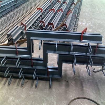 供应沉降缝用桥梁伸缩缝厂家中诚巨工