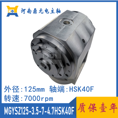 厂家供应 MGYSZ125-3.5-7-4.7HSK40F 高速 精密 磨床电主轴