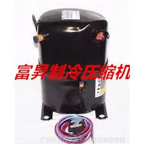 ѹ-ֻʽѹCR18K6-PFV-875