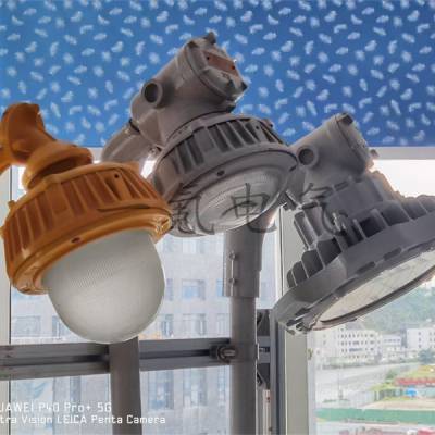 220V钢铁厂道路干道防爆LED灯30w40w 免维护防爆50w60wled平台照明灯路灯