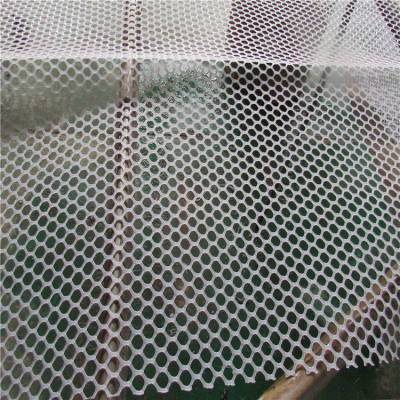 塑料养殖网 白色拉伸网 2米宽养鸡网