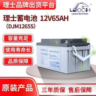 理士蓄电池 12V65AH 铅酸免维护阀控式 DJM1265参数