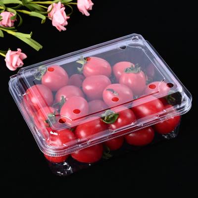 塑料水果盒 装车厘子的透明盒子多种规格 连体带卡扣方便使用