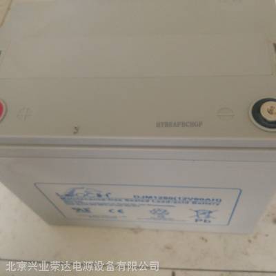 ʿLEOCHDJM1280/12V80AH
