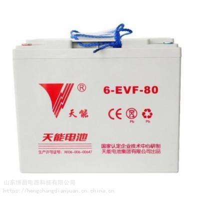 天能蓄电池6-EVF-80 12V80AH新能源汽车电动三四轮巡逻车洒水车