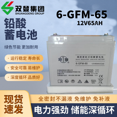 双登蓄电池12V6***H 6-GFM-65直流屏UPS/EPS电源储能后备应急电源