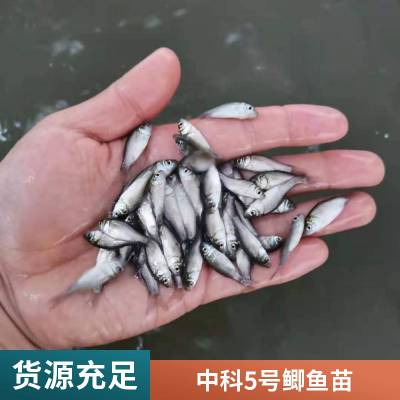 ۷ˮ ˮ 巢 Ӧ  