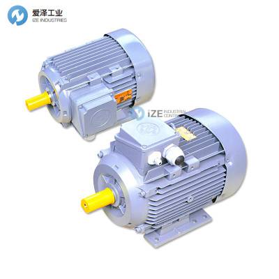 BEHNCKE电机Q3HFC100L2D40