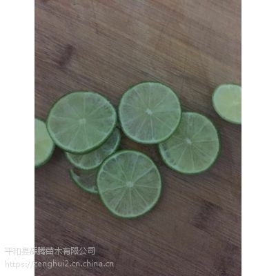 㶫 ļ 