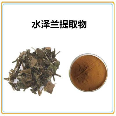 水泽兰提取物10:1 浸膏粉 沃特莱斯生物 多规格可定制 喷雾干燥