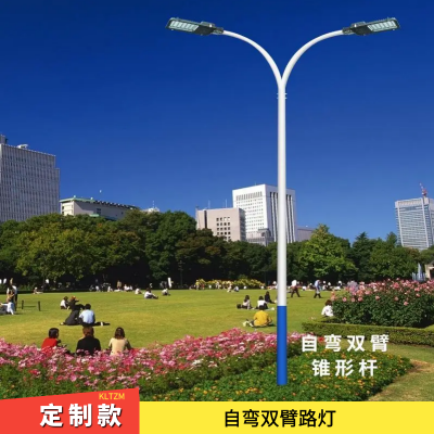 温州路灯厂 市政自弯双臂灯杆 主干道路灯功率可调节