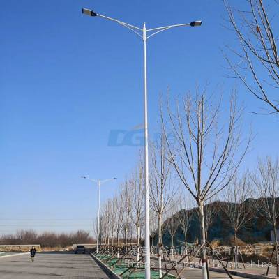 电线杆光源a字臂灯杆样式led道路灯海螺臂灯杆30w太阳能路灯生产厂家