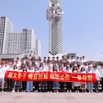 动漫T恤动漫周边产品常州T恤文化广告衫金坛翻领纯棉字图工衣印泽州logo公司