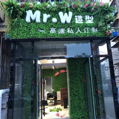 仿真植物墙247小尤加利塑料假草坪门头广告牌绿植形象网红绿化墙