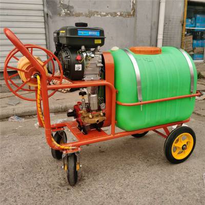 果园喷雾打药机 启航风送打药车 手推式打药机图片