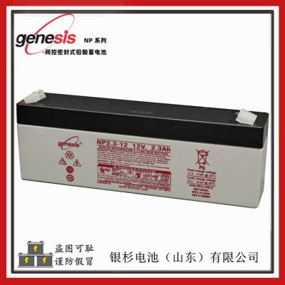 艾诺斯Genesis蓄电池NP2.3-12医疗 通讯电梯设备用12V-2.3AH电池