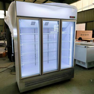 -22度冷冻展示柜 烧烤食品低温柜 除雾玻璃门