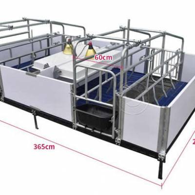 母猪产床尺寸-产床-山东佰牧兴