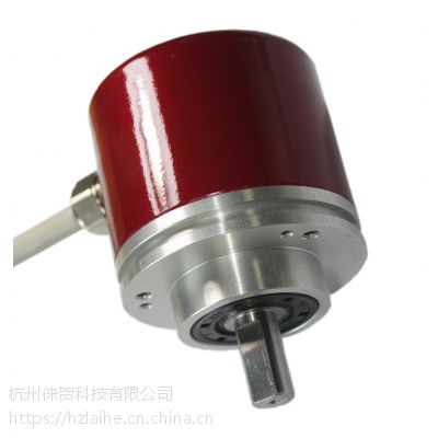 新品供应CARLEN编码器