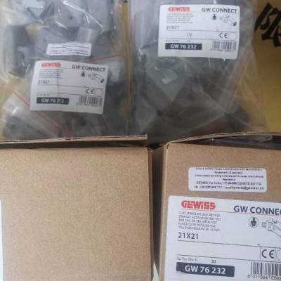 GEWISS GW76129 开关 CIRS 062M 电子密度模体