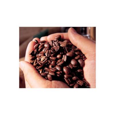 大连 东帝汶 咖啡豆进口报关资料