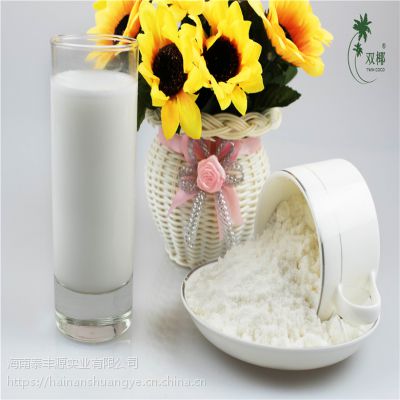 海南双椰椰子粉椰奶粉椰汁粉专用奶粉原料 厂家批发 量大优惠