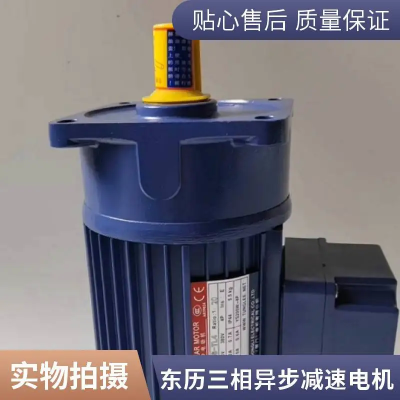 立式0.2KW-4P减速机台湾东力电机PF18-0200-100S3-I-Y-TD厦门东历电机三相异步电机新能源减速机