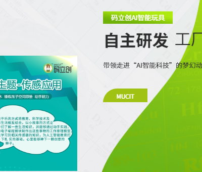 陕西小颗粒玩具多少钱 常州码立创玩具科技供应