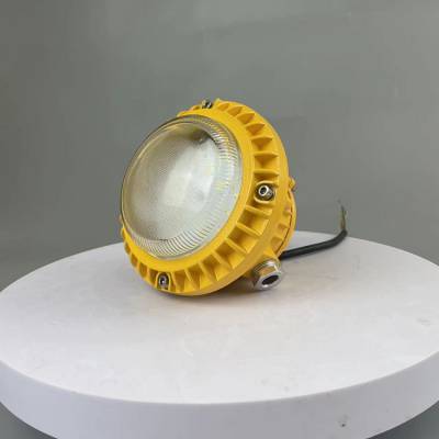 150W防爆型LED平台灯 工业照明吸顶灯 环保节能 新华荣P04