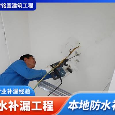 浦东新区智能防水堵漏质量检测 上海时铭宣供应